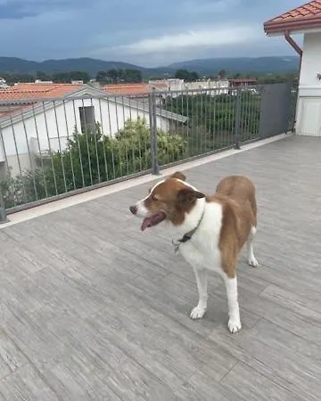 Appartement L'orto Di Mila